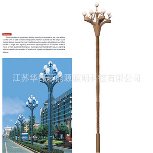 玉兰花灯 户外景观照明的优雅之选