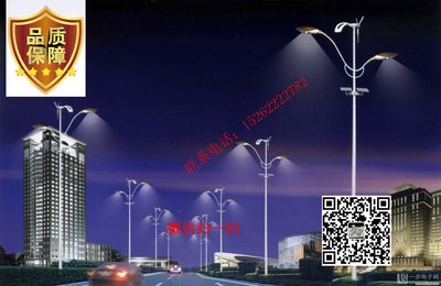 广西壮族自治区钦州景观灯价格与厂家直销指南——一步电子网户外景观灯选购攻略